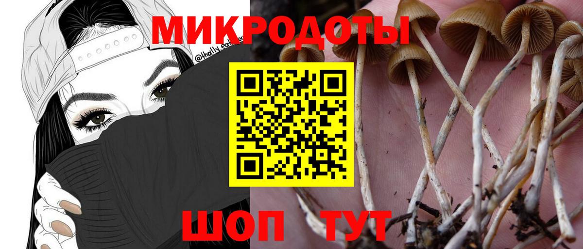 Галлюциногенные грибы Psilocybine cubensis Набережные Челны
