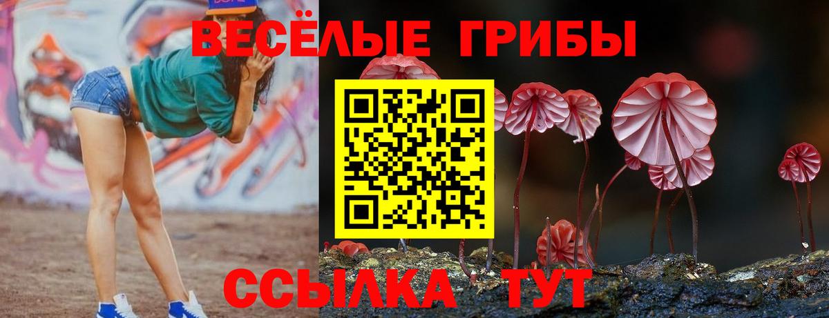 закладка  Галлюциногенные грибы MAGIC MUSHROOMS  Вход с VPN  Набережные Челны 